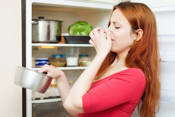 remover bad smell from fridge or freezer